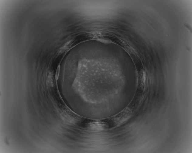 X0000096730316200802121321