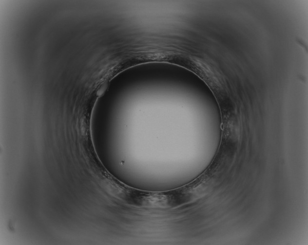 X0000096730317200802121321