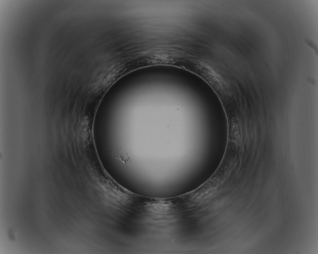 X0000096730318200802121321