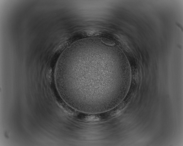 X0000096730319200802121321
