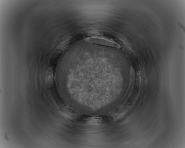 X0000096730320200802121321
