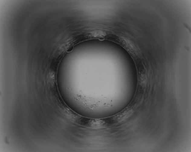 X0000096730321200802121321