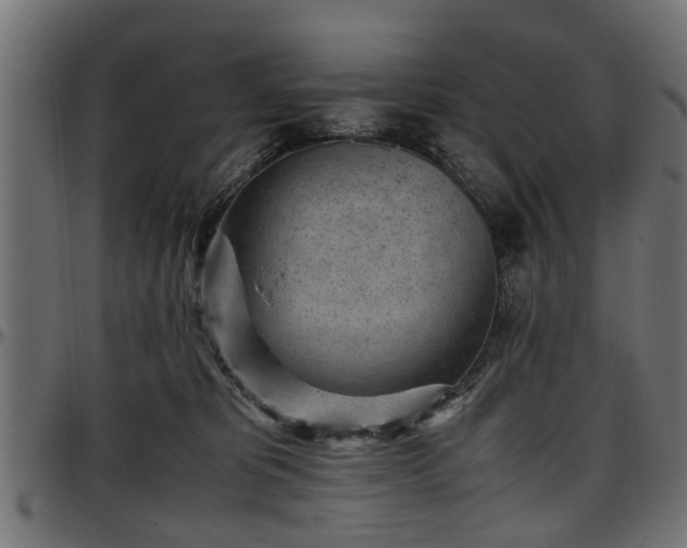 X0000096730325200802121321