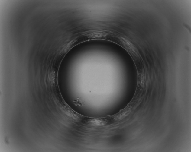 X0000096730326200802121321