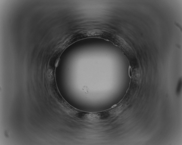 X0000096730327200802121321