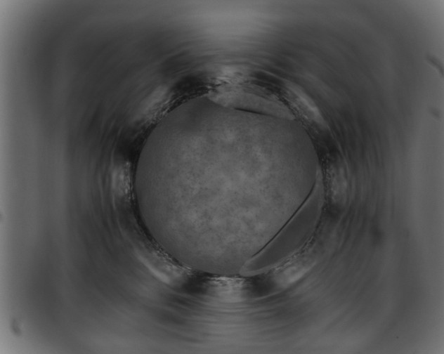 X0000096730328200802121321