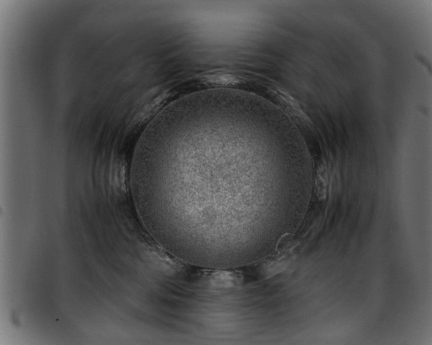 X0000096730330200802121321