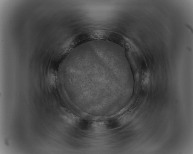 X0000096730332200802121320