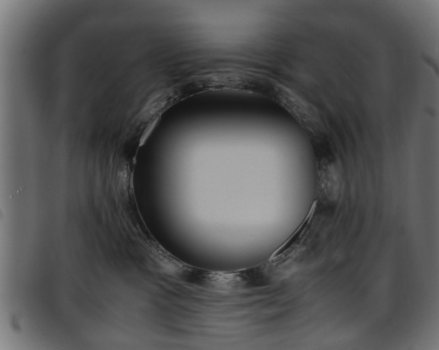 X0000096730333200802121320