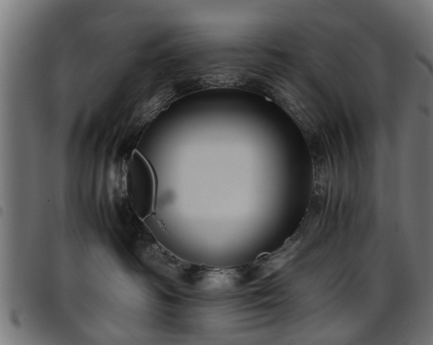 X0000096730334200802121320