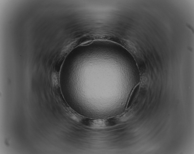 X0000096730335200802121320