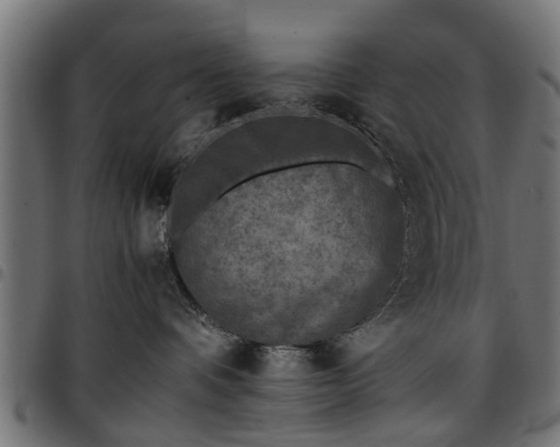 X0000096730336200802121320