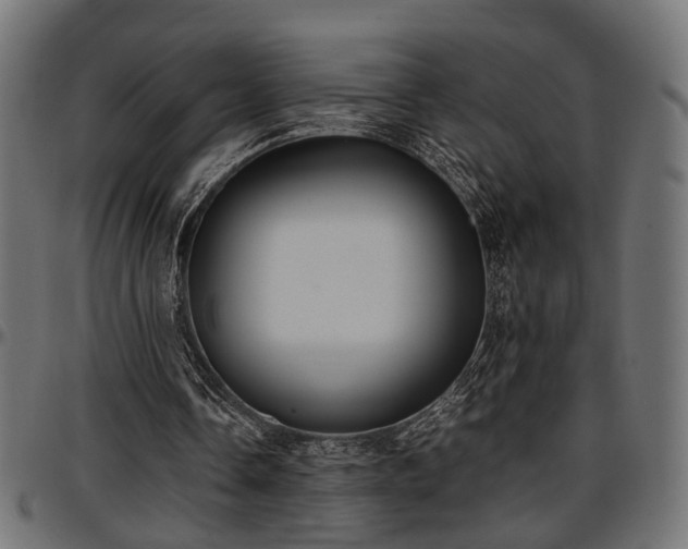 X0000096730338200802121320