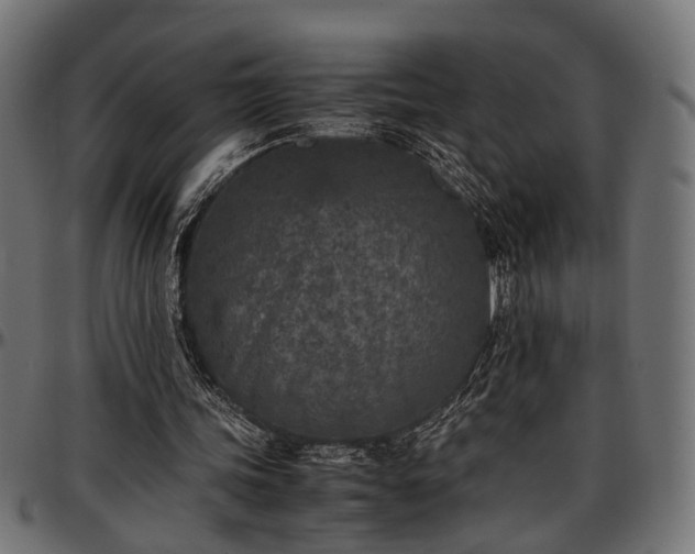 X0000096730339200802121320