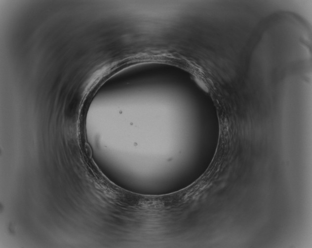 X0000096730340200802121320