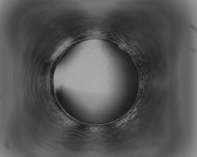 X0000096730341200802121320