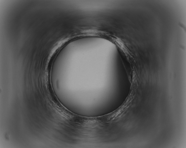 X0000096730342200802121320