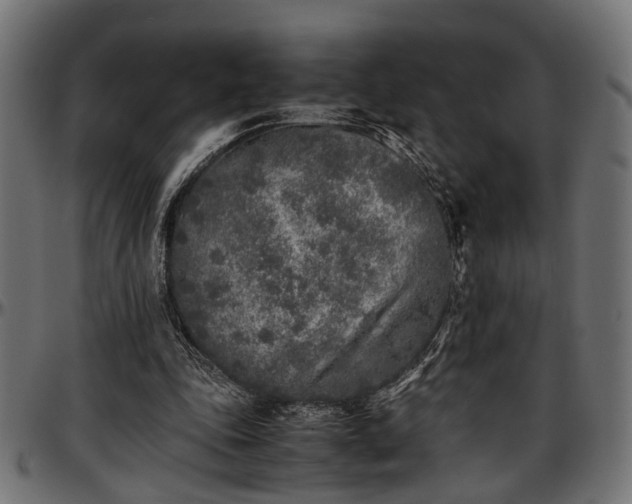 X0000096730343200802121320