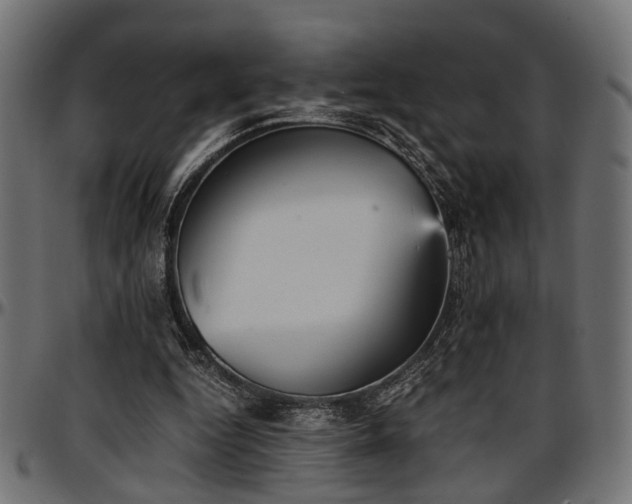 X0000096730344200802121320