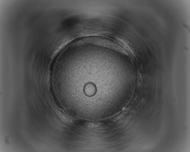 X0000096730346200802121320