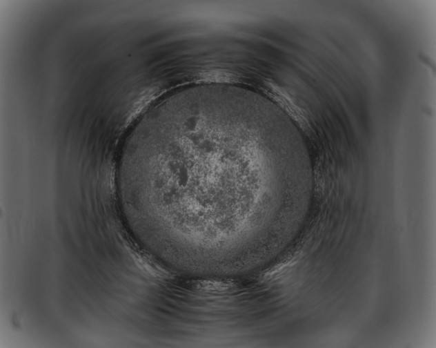 X0000096730347200802121320