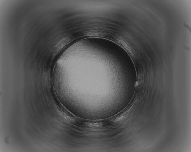 X0000096730349200802121320