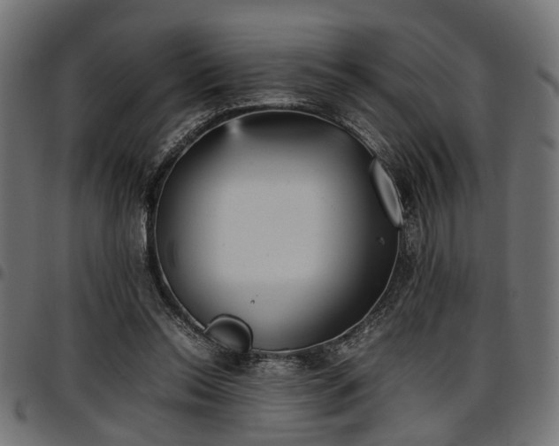 X0000096730350200802121320