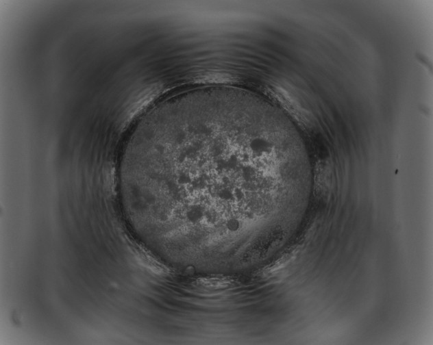 X0000096730351200802121320