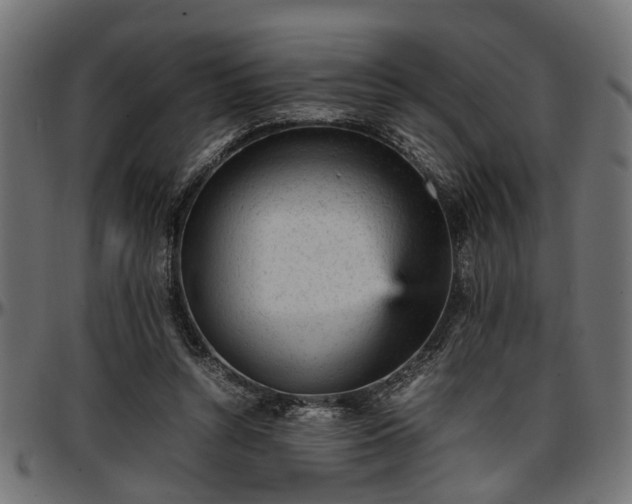 X0000096730352200802121320