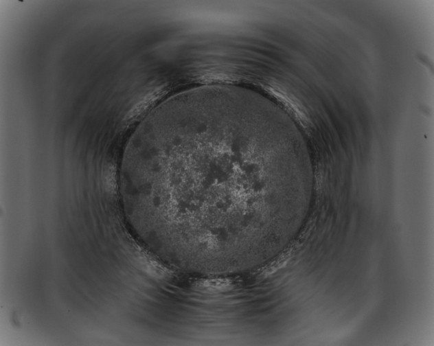 X0000096730353200802121320