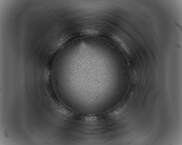 X0000096730355200802121320