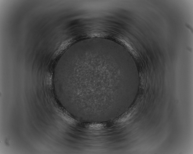 X0000096730357200802121320