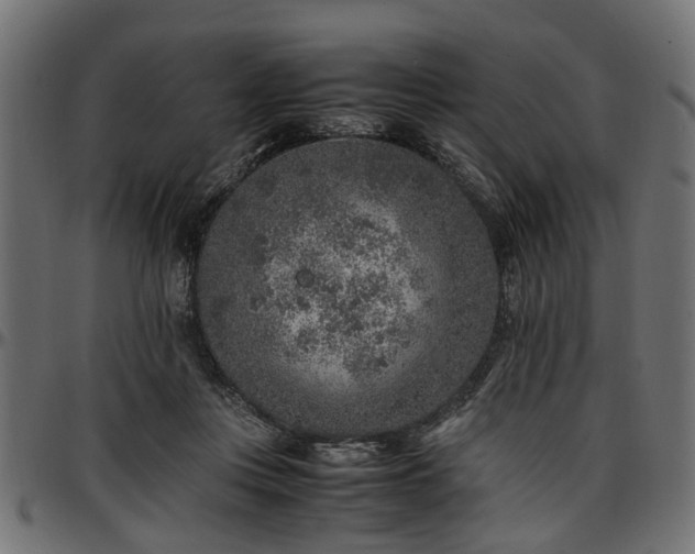 X0000096730359200802121320