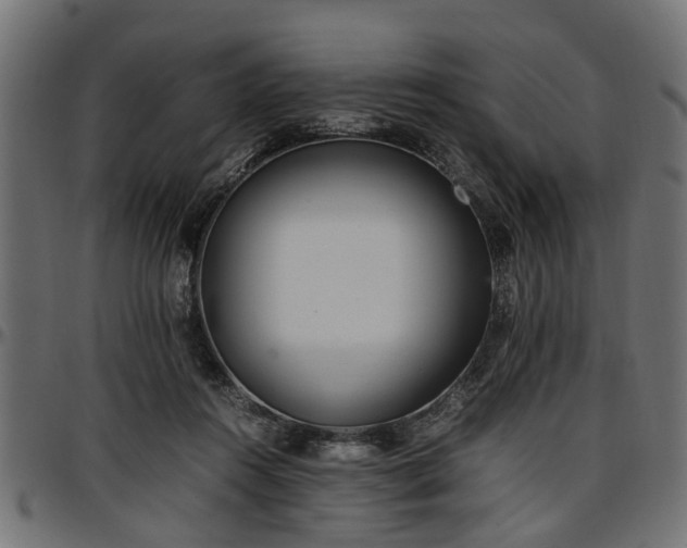 X0000096730360200802121320