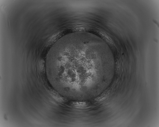 X0000096730361200802121320