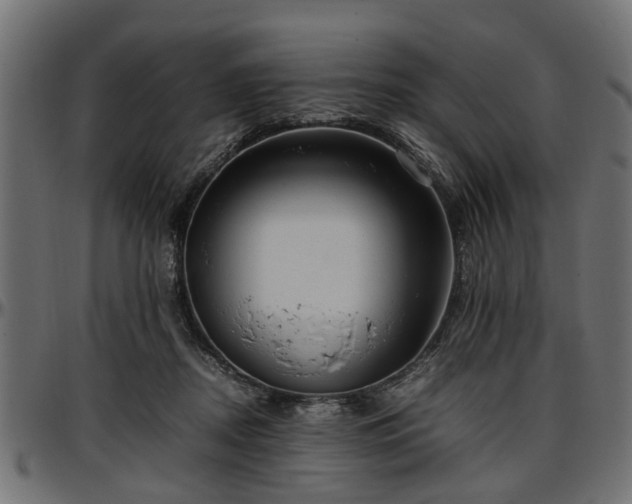 X0000096730362200802121320