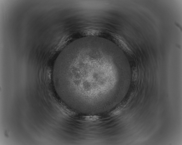 X0000096730363200802121320