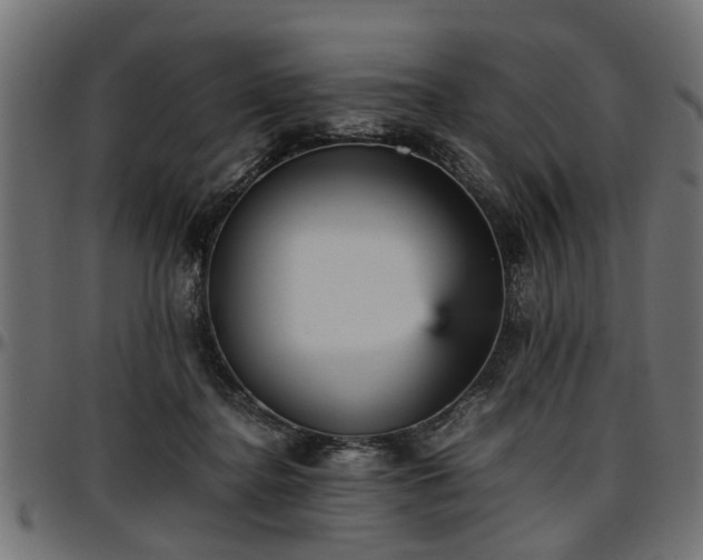 X0000096730364200802121320