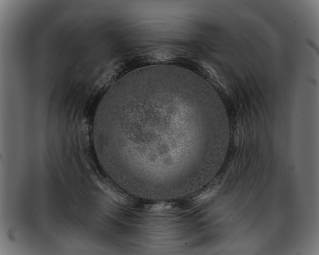 X0000096730366200802121320