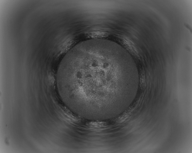 X0000096730367200802121320