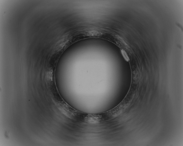 X0000096730368200802121320