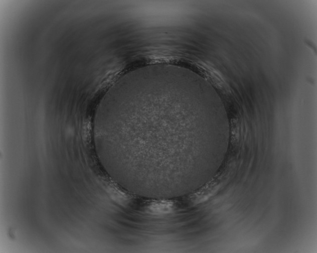 X0000096730369200802121320