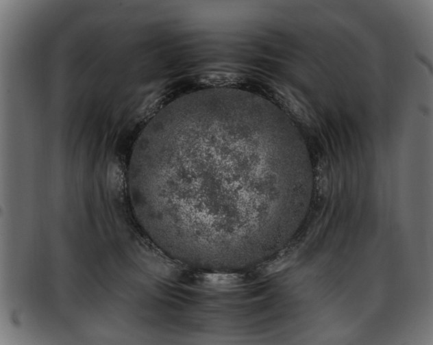 X0000096730371200802121320