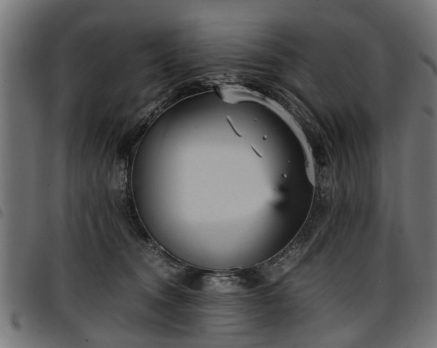 X0000096730372200802121320
