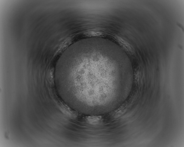 X0000096730373200802121320