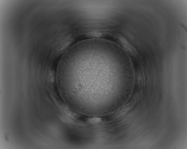 X0000096730374200802121320