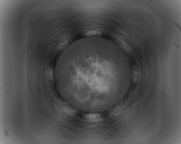 X0000096730375200802121320