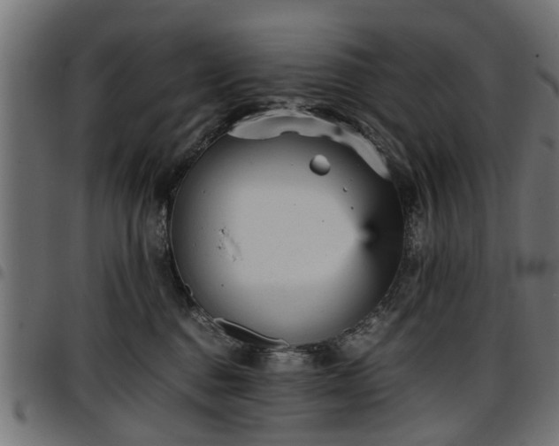 X0000096730376200802121320