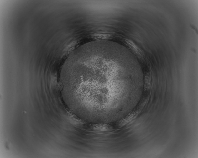 X0000096730377200802121320