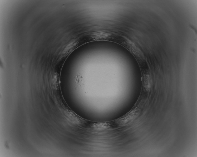 X0000096730378200802121320
